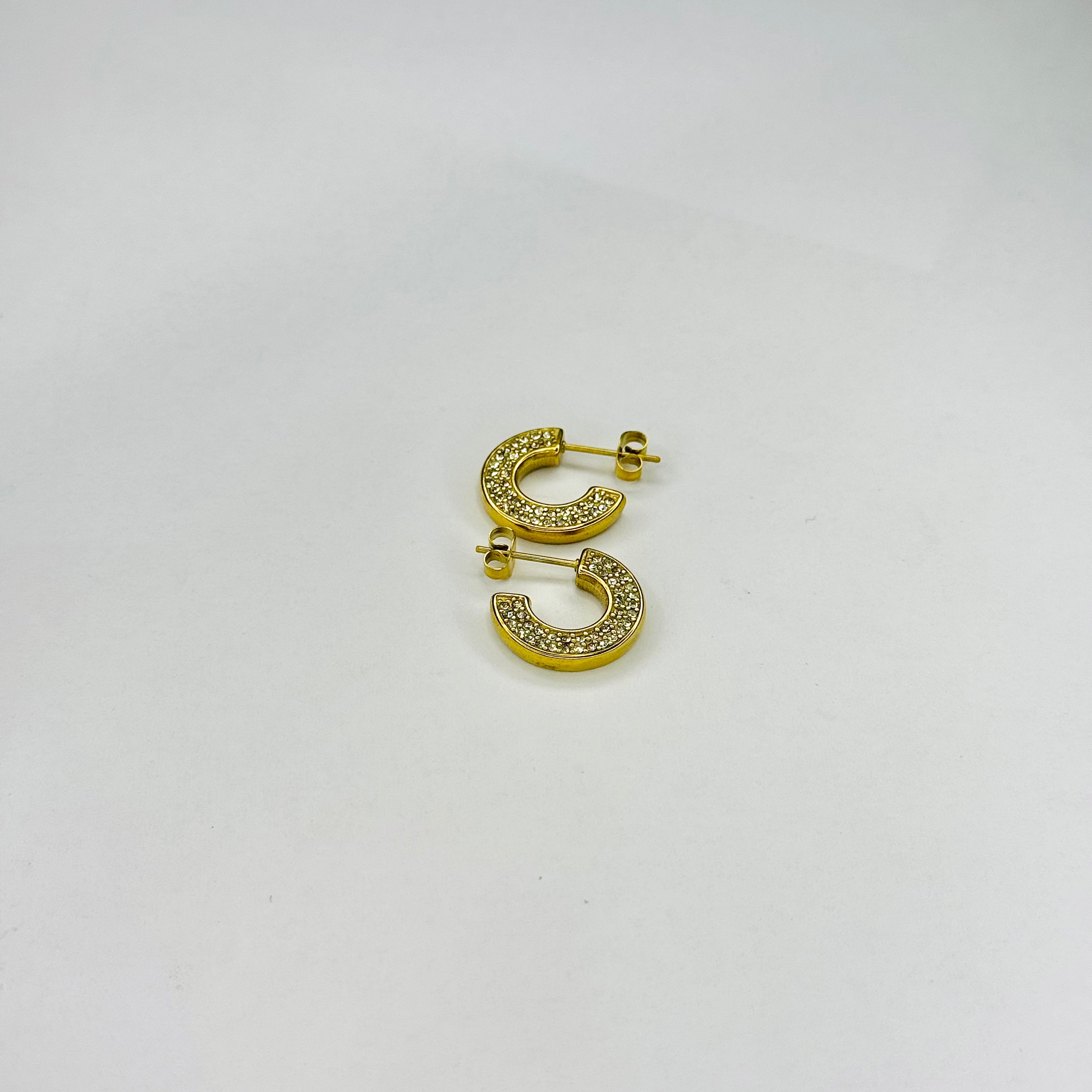 Luxe Zircon Ear Hoops